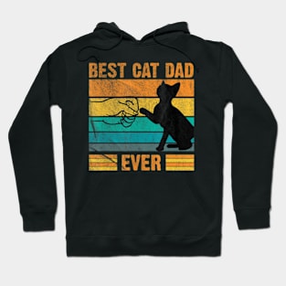 Best Cat Dad Ever Kitten Lover Fathers Day Hoodie